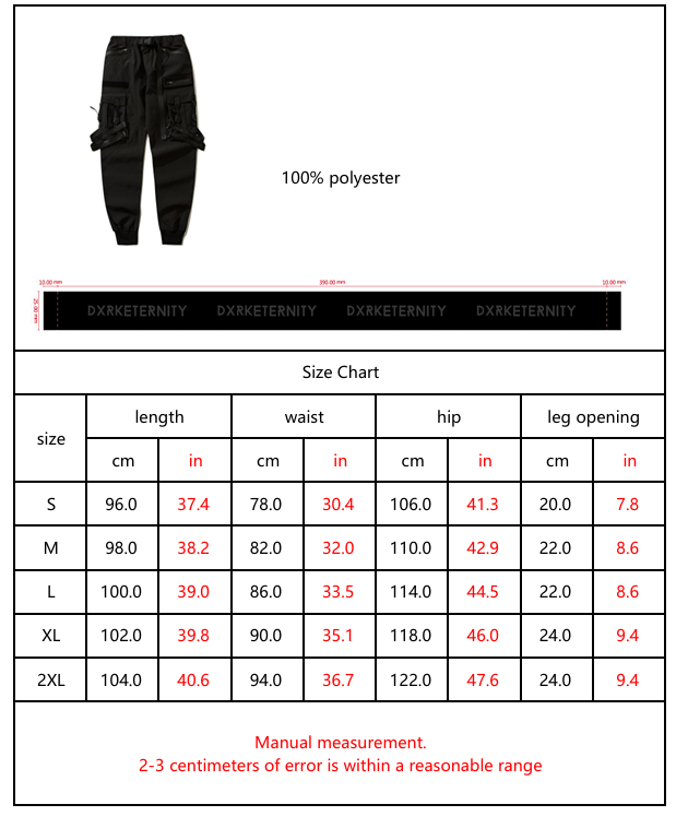 Techwear Pants V2